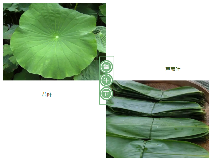 雷火竞技官网医纺