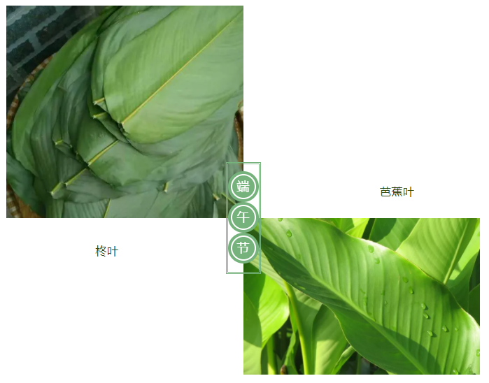 雷火竞技官网医纺