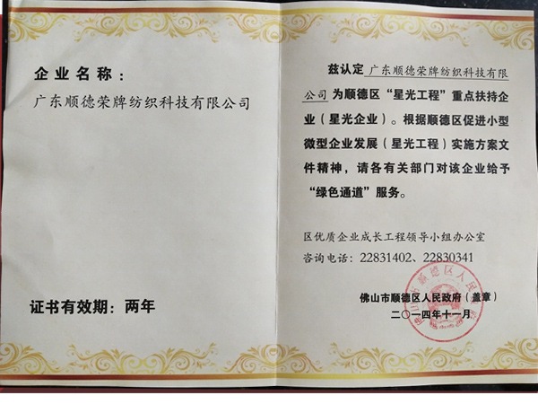雷火竞技官网荣获政府重点扶持企业
